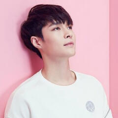 Lay